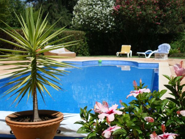 Cost of Pool Terrace Renovation in Ankeny